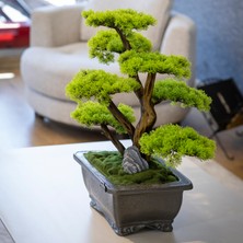 Flora Bonsai-6 Masaüstü Kullanıma Uygun Doğal Ağaç Gövdeli Yapay Bonsai Ağacı - 40X50 cm