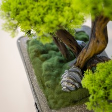 Flora Bonsai-6 Masaüstü Kullanıma Uygun Doğal Ağaç Gövdeli Yapay Bonsai Ağacı - 40X50 cm
