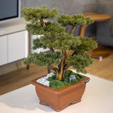 Flora Bonsai-4 Masaüstü Kullanıma Uygun Doğal Ağaç Gövdeli Yapay Bonsai Ağacı - 40X50 cm