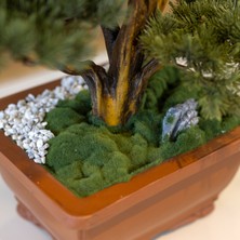 Flora Bonsai-4 Masaüstü Kullanıma Uygun Doğal Ağaç Gövdeli Yapay Bonsai Ağacı - 40X50 cm