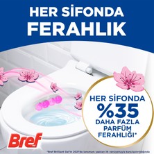 Bref Brilliant Gel 2x42 Gr. Çiçek