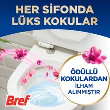 Bref WC Deluxe Duopack Katı Tuvalet Bloğu Manolya