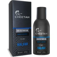 Cheetah Woody & Aqueous Malawi Erkek Parfüm 100ml