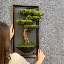 Bonsai Tablaeu - 5 - Mdf Plaka Üzerinde Çerçeveli 3 Boyutlu Yapay Ağaç Tablosu 33X60 cm