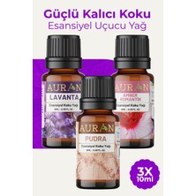 Auran Pudra, Lavanta, Amber Saf Esansiyel Uçucu Yağ Buhurdanlık Yağ Difüzör Esans Aromaterapi Orta3x 10ml