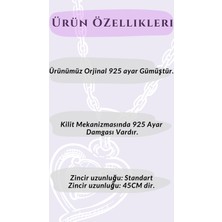 Trend Robo Anka Kuşu Gümüş Kolye |  925 Ayar Gümüş Kolye ve Şık Hediye Kutusu