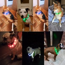 Fuhao Shop A Pembe Tarzı S 35CM Pandada LED Köpek Tasması USB Pet Köpek Luminous Tasması Gece Tasması Köpekler Için Şarj Edilebilir Güvenlik Yanıp Sönen Parlayan Parıldayan (Yurt Dışından)