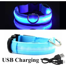 Fuhao Shop A Mavi USB Stili Xl Boyutu Şarj Edilebilir Aydınlatmalı Köpek Tasma Ayarlanabilir Büyük Köpek Gece Işığı Tasma Pet Güvenlik Tasma Küçük Köpekler Kediler Için (Yurt Dışından)