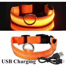 Fuhao Shop A Mavi USB Stili Xl Boyutu Şarj Edilebilir Aydınlatmalı Köpek Tasma Ayarlanabilir Büyük Köpek Gece Işığı Tasma Pet Güvenlik Tasma Küçük Köpekler Kediler Için (Yurt Dışından)