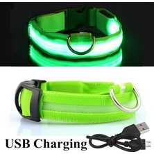 Fuhao Shop A Yeşil USB Stili L Boyutu Şarj Edilebilir Aydınlatmalı Köpek Tasma Ayarlanabilir Büyük Köpek Gece Işığı Tasma Pet Güvenlik Tasma Küçük Köpekler Kediler Için (Yurt Dışından)