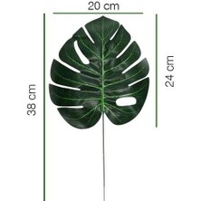 Parti Dükkanım Yaprak Devetabanı Modeli 20X24 cm 3 Adet