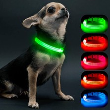 Fuhao Shop A Mavi Düğme Pil Stili S Yaka 34-41 cm Şarj Edilebilir Su Geçirmez Köpek Parlama Boyun Bandı Pet Güvenliği Için Köpek Işıklar Gece Yürüyüşü Küçük Orta Büyük Köpekler (Yurt Dışından)