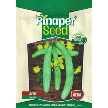 Pinaper Seed Acur Tohumu 10 gr Pınaper Tohumculuk