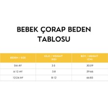 Mimu Çorap Bebek 3'lü Arı Kutu Detaylı Basic Patik Çorap