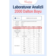 Vitarise %100 Saf Hidrolize Kolajen (Tip 1-2-3) Toz Gıda Takviyesi