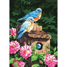 Kırmızı Ayı Mavi Kuşlar ve Çiçekler Sayılarla Boyama Seti Kasnaklı