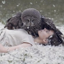 Kırmızı Ayı Baykuş ve Güzel Sayılarla Boyama Seti Kasnaklı