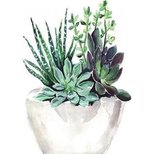 Kırmızı Ayı Saksıdaki Çiçekler Sayılarla Boyama Seti Kasnaklı