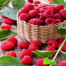 Kırmızı Ayı Lezzetli Ahududu Sepeti Sayılarla Boyama Seti  Kasnaklı