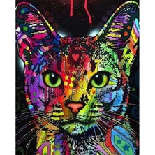 Kırmızı Ayı Renkli Kedi 3 Sayılarla Boyama Seti Kasnaklı