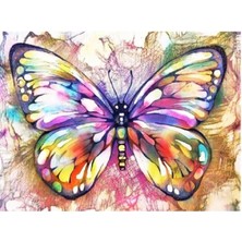 Kırmızı Ayı Renkli Kelebek Sayılarla Boyama Seti Kasnaklı