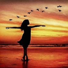 Kırmızı Ayı Martılarla Dans Sayılarla Boyama Seti  Kasnaklı