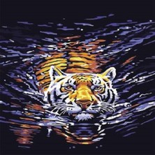 Kırmızı Ayı Yüzen Kaplan Sayılarla Boyama Seti  Kasnaklı