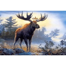 Kırmızı Ayı Geyik ve Orman Sayılarla Boyama Seti Kasnaklı