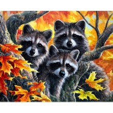 Kırmızı Ayı Sevimli Üçlü Sayılarla Boyama Seti Kasnaklı