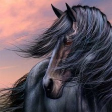 Kırmızı Ayı Siyah Inci Sayılarla Boyama Seti  Kasnaklı