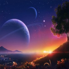 Kırmızı Ayı Gk Kadın Sayılarla Boyama Seti Kasnaklı