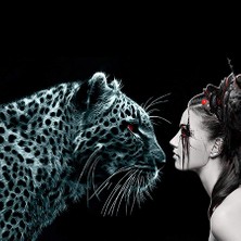 Kırmızı Ayı Kaplanın Duruşu Sayılarla Boyama Seti Kasnaklı