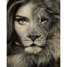 Kırmızı Ayı Aslan Kadın Sayılarla Boyama Seti Kasnaklı