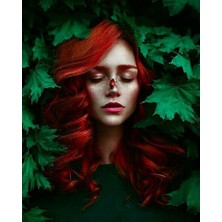 Kırmızı Ayı Yaprak Güzeli Sayılarla Boyama Seti Kasnaklı