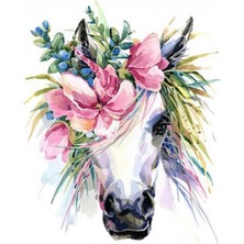 Kırmızı Ayı Unicorn Sayılarla Boyama Seti Kasnaklı