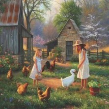 Kırmızı Ayı Çiftlik Günlüğü Sayılarla Boyama Seti   Kasnaklı