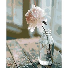 Kırmızı Ayı Sade Bir Çiçek Sayılarla Boyama Seti Kasnaklı