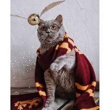 Kırmızı Ayı Atkılı Kedi Sayılarla Boyama Seti Kasnaklı