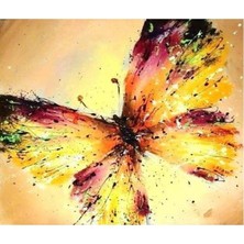 Kırmızı Ayı Altın Kelebek Sayılarla Boyama Seti Kasnaklı