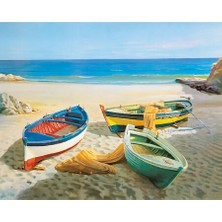 Kırmızı Ayı Kumsalda Sandallar Sayılarla Boyama Seti  Kasnaklı