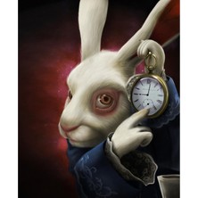 Kırmızı Ayı Harikalar Diyarı 2 Sayılarla Boyama Seti Kasnaklı