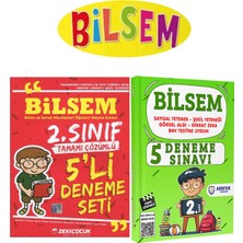 Ardışık Yayınları 2. Sınıf BİLSEM Deneme Sınav Seti 2 Kitap