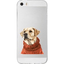 Zeyno Apple Iphone 5s Uyumlu Yün Kazaklı Köpek  Desenli Silikon Kılıf