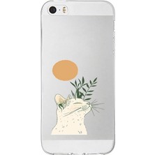 Zeyno Apple Iphone 5s Uyumlu Zarif Kedi  Desenli Silikon Kılıf