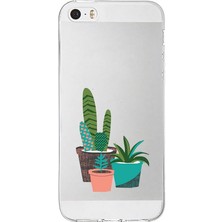 Zeyno Apple Iphone 5s Uyumlu Sukulent Saksılar  Desenli Silikon Kılıf