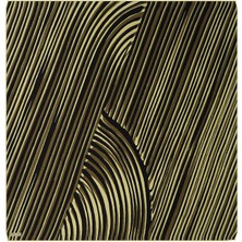 Asit Yeşil Illüzyon Desen Twill Ipek Eşarp