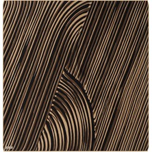 Bursa İpek Kahverengi Illüzyon Desen Twill Ipek Eşarp