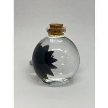 Sihirli Küre Ferrofluid