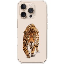 Zeyno Apple Iphone 11 Pro Max Uyumlu Yırtıcı Leopar  Desenli Silikon Kılıf