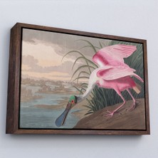 Alaz Trade Çerçeveli John James Audubon - Pembe Kaşıkçı Kuşu TABLO-7120
